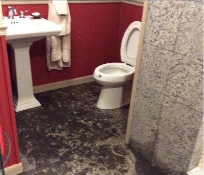A bathroom showing the toilet and sink with clear spots of water damage on the floors and walls.