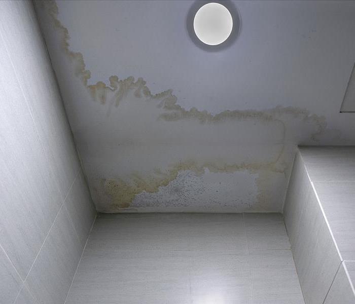 Reversing Water Damage - image of water-stained ceiling