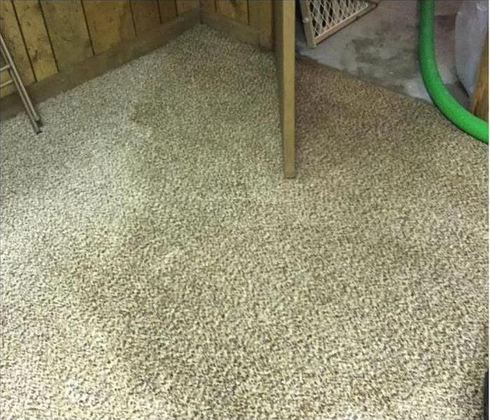 A soaked carpet in a basement