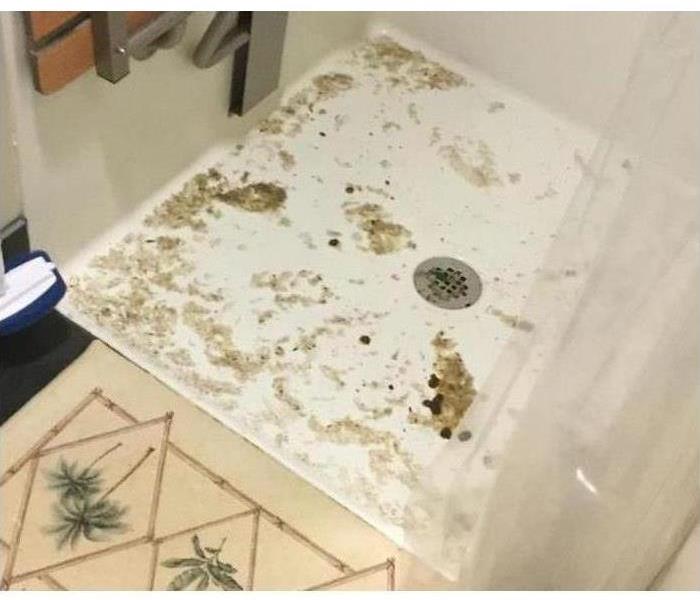 A shower floor stained with sewage