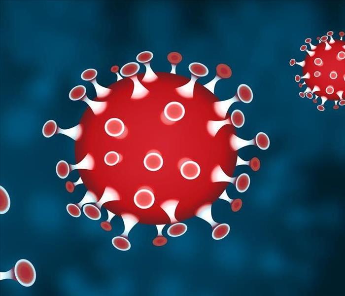 A graphic illustration of the coronavirus