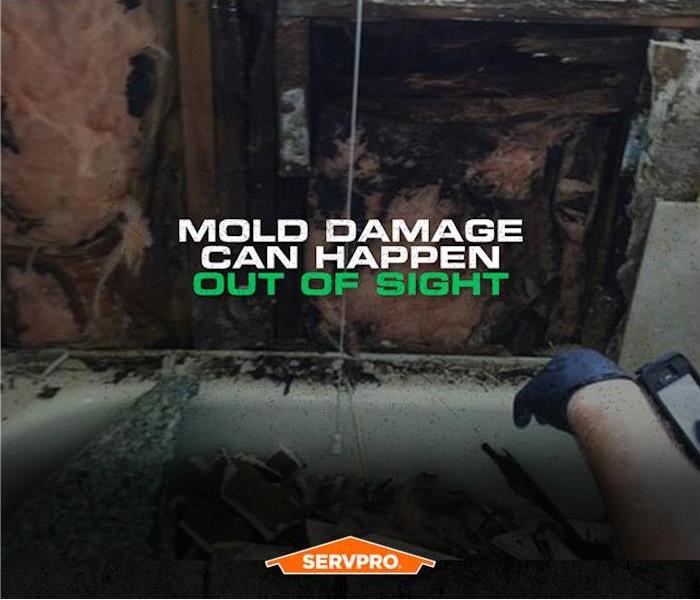 mold damage can happen out of side poster